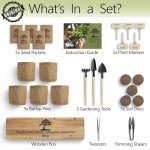 AVERGO Bonsai Tree Kit – Grow 5 Unique Varieties