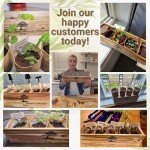 AVERGO Bonsai Tree Kit – Grow 5 Unique Varieties