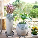 Heavy Duty 17.7" Rolling Plant Caddy with Wheels