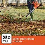 BLACK+DECKER 3-in-1 Electric Leaf Blower and Vacuum