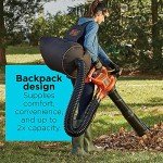 BLACK+DECKER 3-in-1 Electric Leaf Blower and Vacuum
