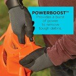 BLACK+DECKER 3-in-1 Electric Leaf Blower and Vacuum