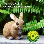 Bunny Garden Decorations - Set of 3 Statues