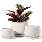 Set of 3 Ceramic Plant Pots with Drainage