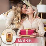 Hummingbird Solar Lanterns for Outdoor Garden Decor