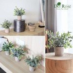 3 Pack Mini Artificial Eucalyptus Potted Plants