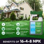Natural Liquid Lawn Food Concentrate for All Grass