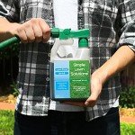 Natural Liquid Lawn Food Concentrate for All Grass