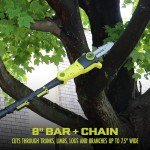 Sun Joe 24V Cordless Lawn Care Kit