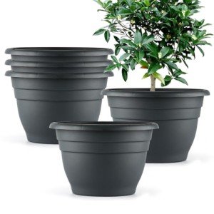 Dark Gray Round Planters with Drainage Holes - 5 Pack