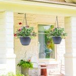 Dark Gray Round Planters with Drainage Holes - 5 Pack