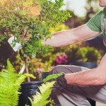 60 Pcs Flexible 1 Gallon Plant Nursery Pots