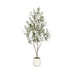 5FT Tall Faux Olive Tree with White Planter