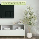 5FT Tall Faux Olive Tree with White Planter