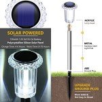 10 Pack Solar Pathway Lights for Garden Paths