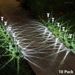 10 Pack Solar Pathway Lights for Garden Paths
