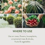 Neem Oil Fungicide for Flowers and Vegetables