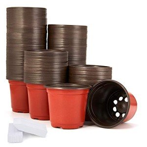 200-Pack 4 Inch Plastic Nursery Pots with Labels