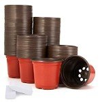 200-Pack 4 Inch Plastic Nursery Pots with Labels