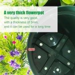 DAPERCI 8" RooTrimmer Nursery Pot Plant Grow Pots