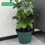DAPERCI 8" RooTrimmer Nursery Pot Plant Grow Pots