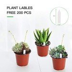 200-Pack 4 Inch Plastic Nursery Pots with Labels
