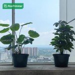 DAPERCI 8" RooTrimmer Nursery Pot Plant Grow Pots