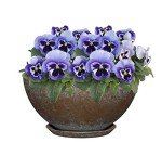 Rosie 10" Weathered Copper Planter - Premiere Collection