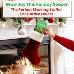 Herb Seed Variety Kit: Oregano, Cilantro, Basil & More