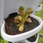 Stackable 3-Tier Vertical Planter for Herbs & Flowers