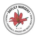 Mixed Lantana Camara Flowers - 2 Live Plants