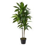 48" Real Touch Dracaena Silk Plant in Green