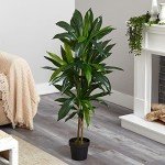 48" Real Touch Dracaena Silk Plant in Green