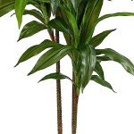 48" Real Touch Dracaena Silk Plant in Green