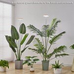 Adjustable LED Grow Light for Indoor Plants