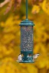 Squirrel Buster Legacy Squirrel-Proof Bird Feeder