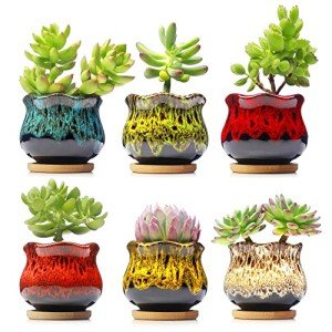 Set of 6 Cute Ceramic Succulent Planters
