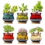Set of 6 Cute Ceramic Succulent Planters