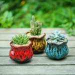 Set of 6 Cute Ceramic Succulent Planters