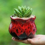 Set of 6 Cute Ceramic Succulent Planters