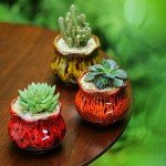Set of 6 Cute Ceramic Succulent Planters