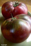 Cherokee Purple Heirloom Tomato Seeds - 75+ Pack