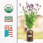 Lavender Windowsill Planter by Back to the Roots