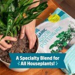 Organic Indoor Potting Mix for Thriving Houseplants