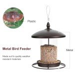 Metal Bird Feeder for Outdoor Gardens – Holds 2.5LB