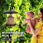 Metal Bird Feeder for Outdoor Gardens – Holds 2.5LB