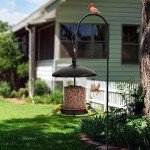 Metal Bird Feeder for Outdoor Gardens – Holds 2.5LB