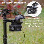 Orbit Motion-Activated Sprinkler for Yard Care