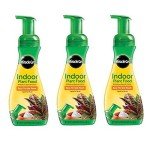 Miracle-Gro Indoor Plant Food (3-Pack)
