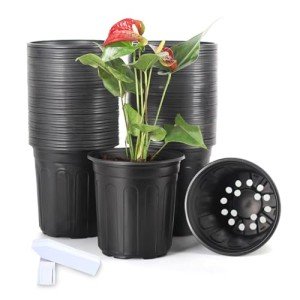 50-Pack Flexible 1 Gallon Nursery Pots with Labels